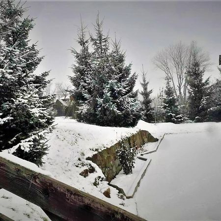 Cottage Ozerniy 라제슈치나 외부 사진